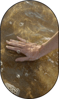 a person's hand in the water